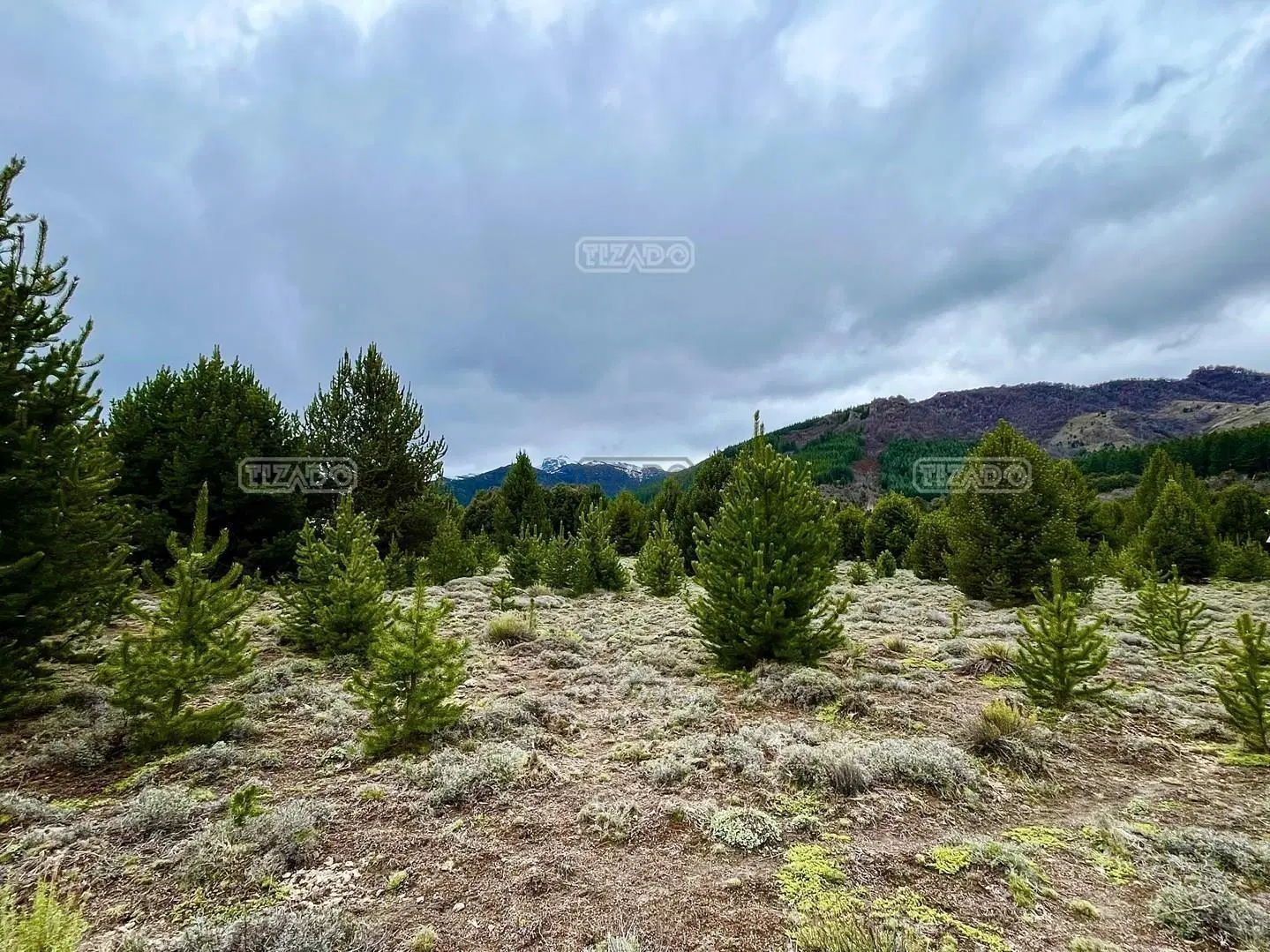 Terreno Lote  en Venta en Villa Lago Meliquina, San Martin de los Andes, Patagonia 4