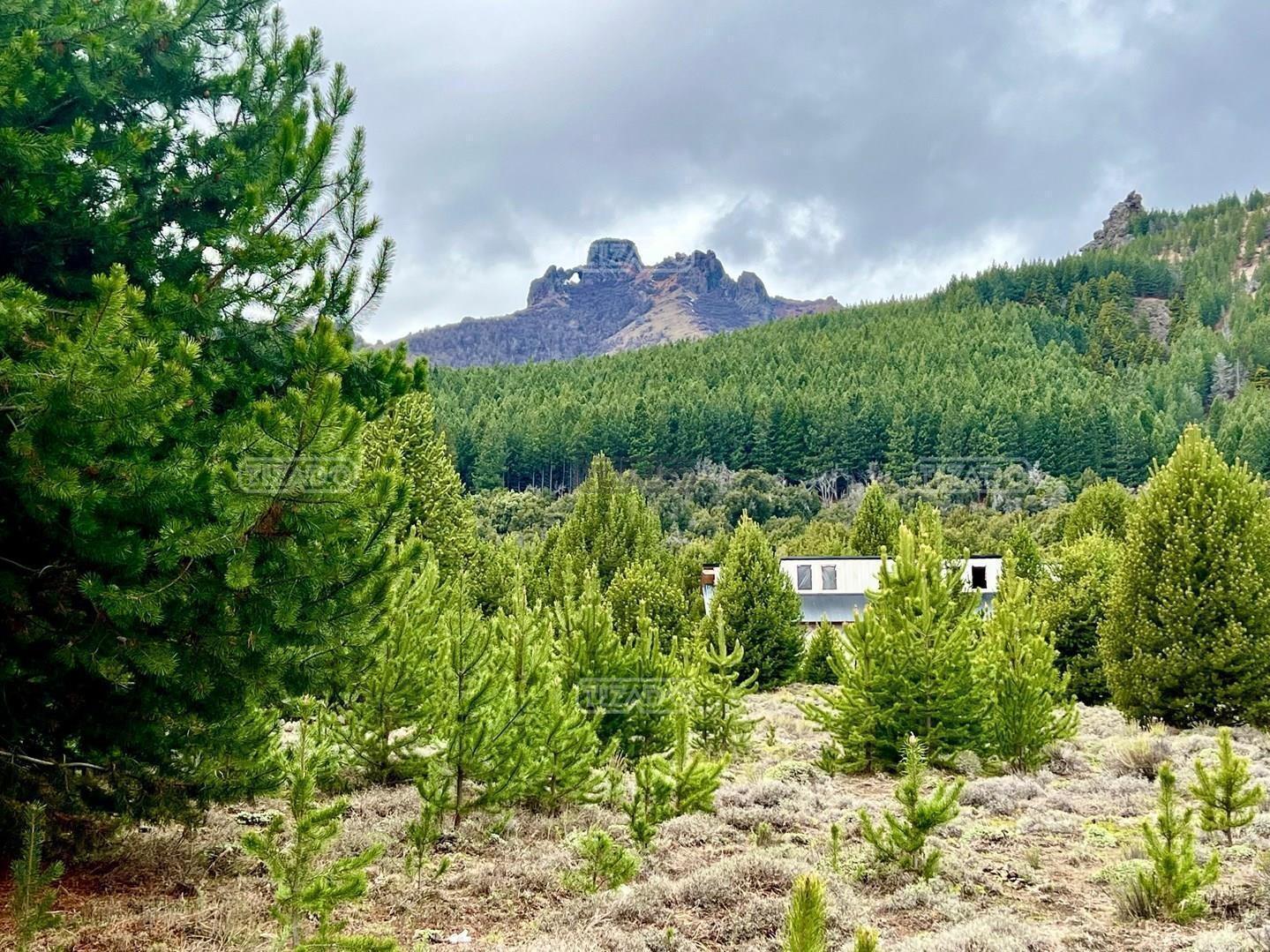 Terreno Lote en Venta en Villa Lago Meliquina, San Martin de los Andes, Patagonia