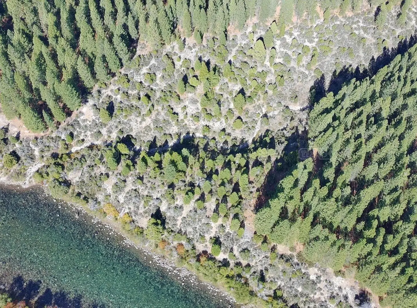 Terreno Lote  en Venta en Caleufu, San Martin de los Andes, Patagonia 3