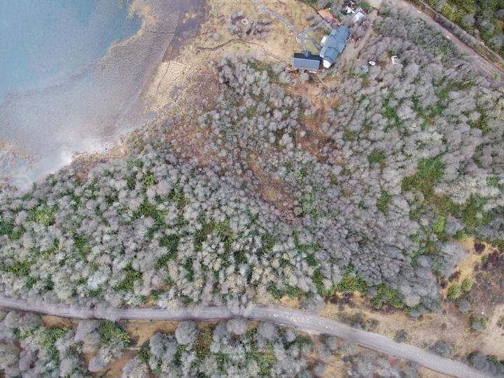 Foto de Terreno en Venta ubicado en Lago Hermoso, San Martin de los Andes, imagen 5