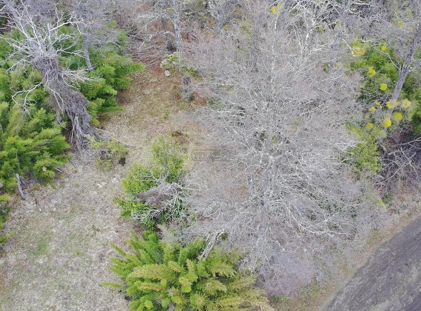 Foto de Terreno Fraccion en Venta ubicado en Rio Hermoso, San Martin de los, imagen 4
