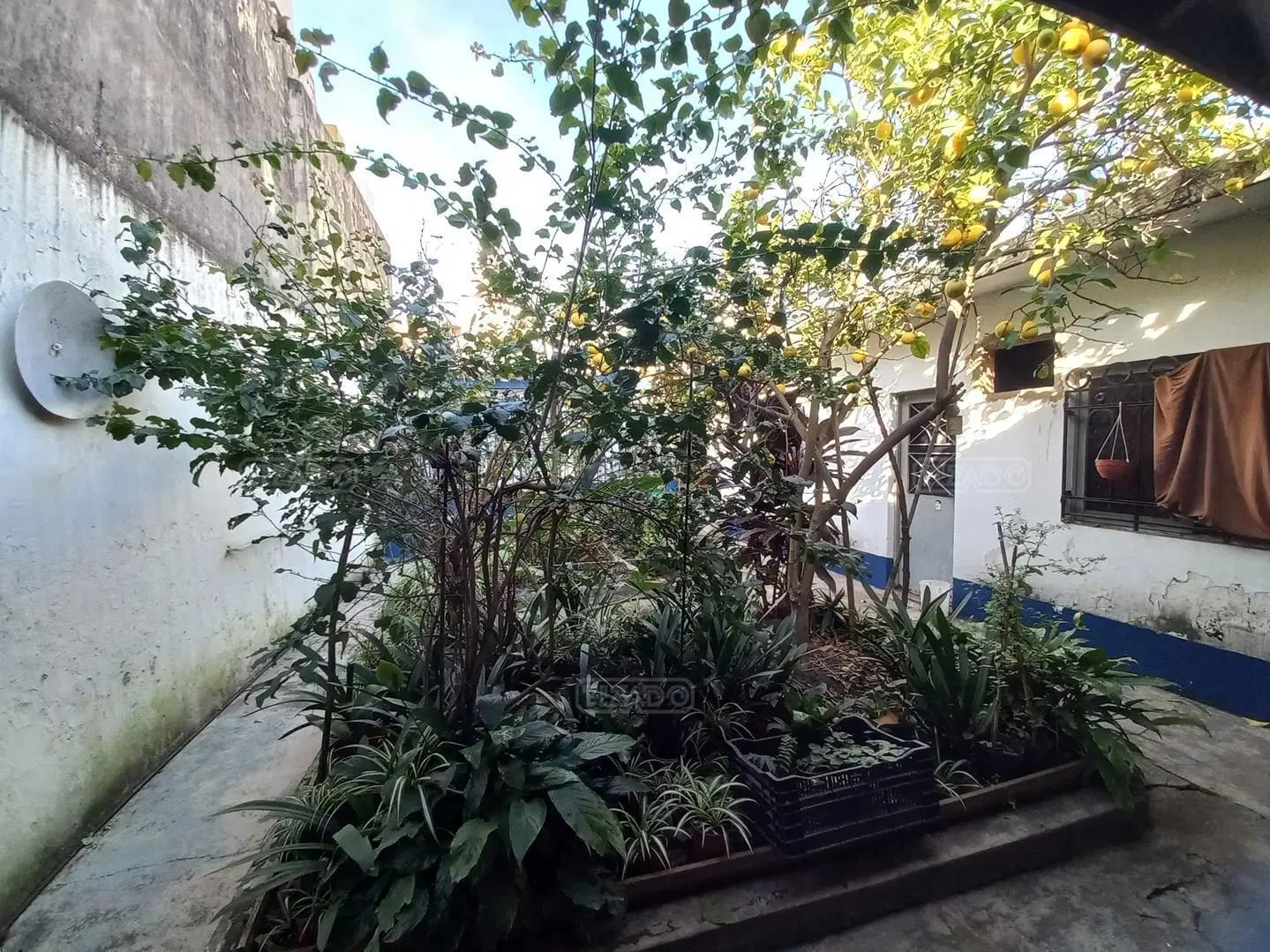 Casa Chalet en Venta en Parque Chas, Capital Federal, Buenos Aires 4