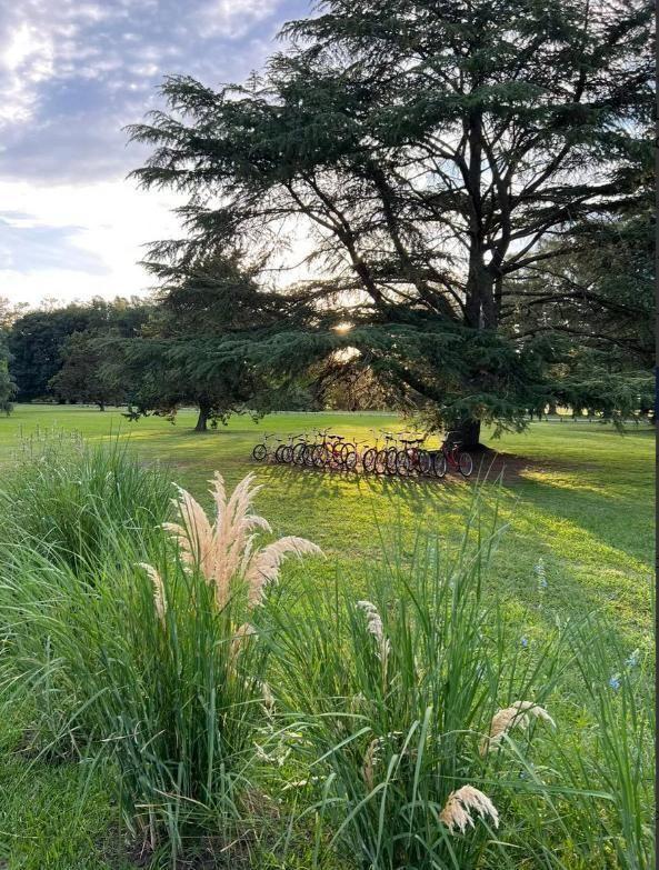 Foto de Venta de lote en chacras de San Andrés, imagen 5
