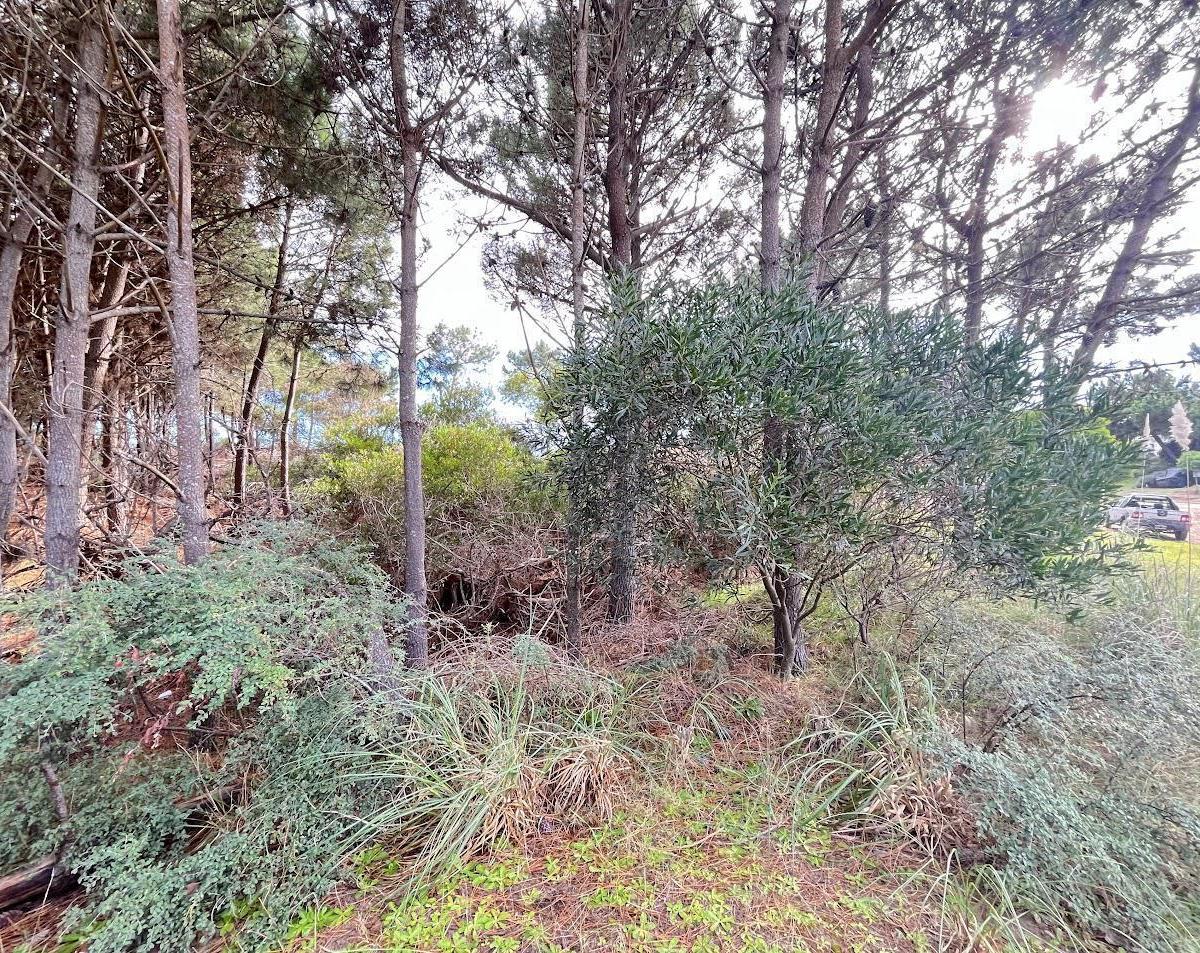 Terreno en Venta - Barrio Residencial II Lote 180 de Costa Esmeralda - Arbolado 2