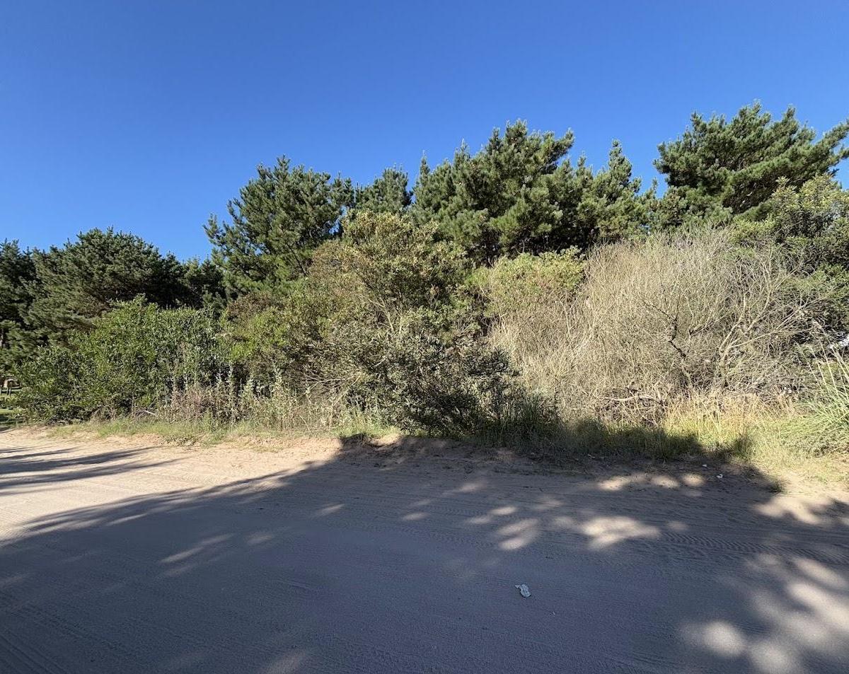 Terreno en Venta - Barrio Residencial II Lote 109 1
