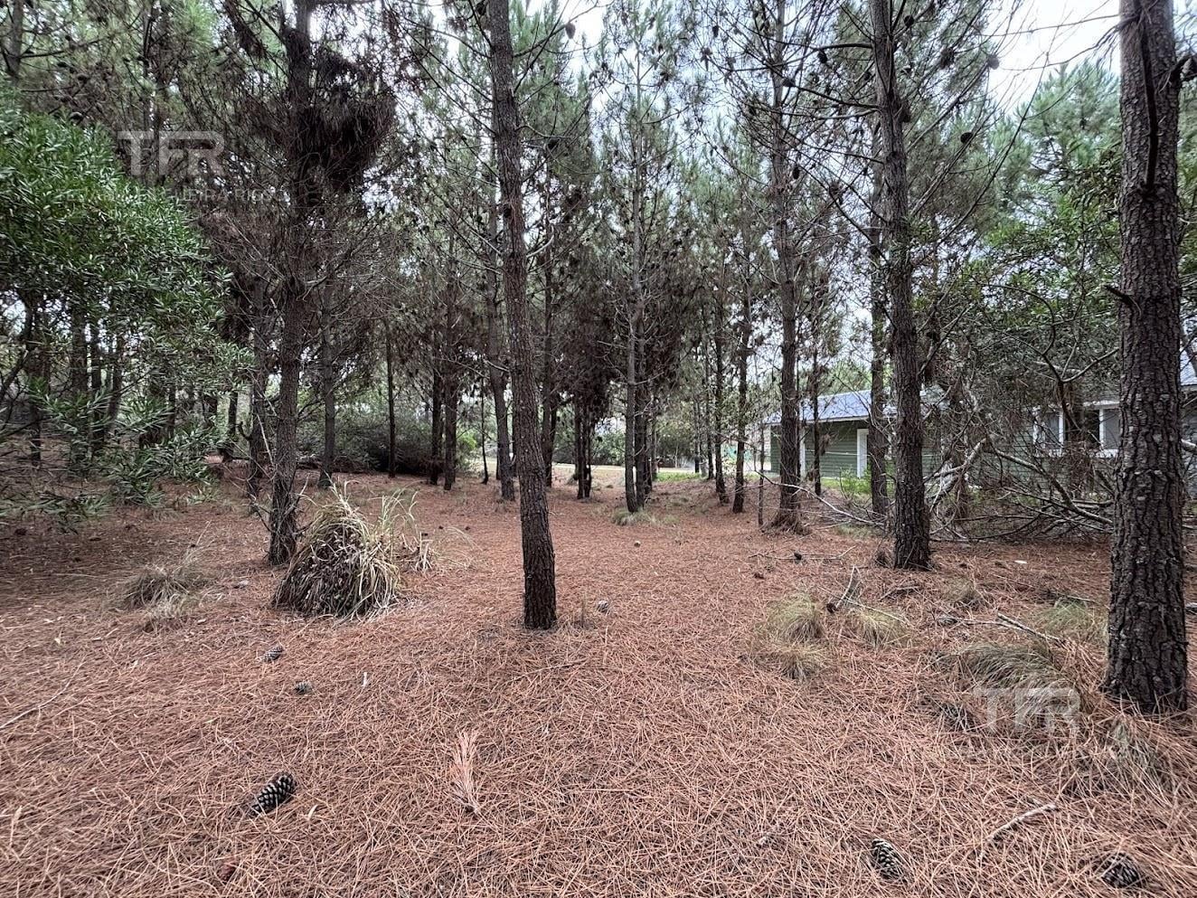 Foto de Terreno en Marítimo III Costa Esmeralda - a metros de la playa, imagen 3