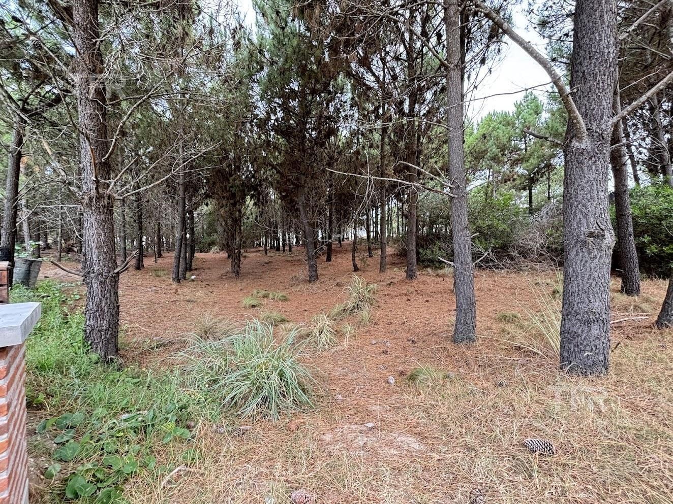 Foto de Terreno en Marítimo III Costa Esmeralda - a metros de la playa, imagen 1