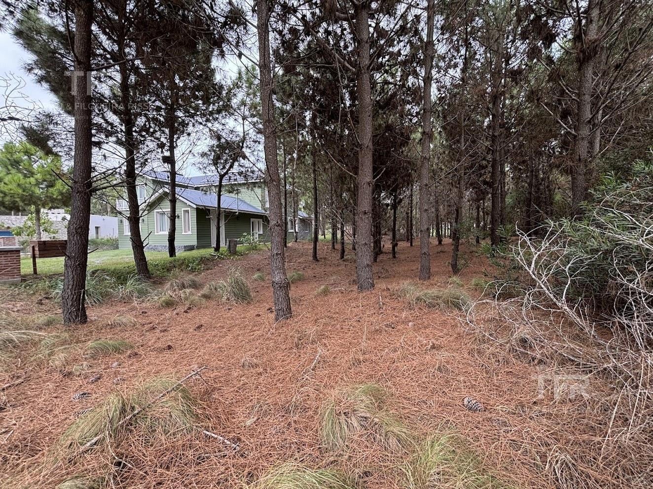 Foto de Terreno en Marítimo III Costa Esmeralda - a metros de la playa, imagen 4