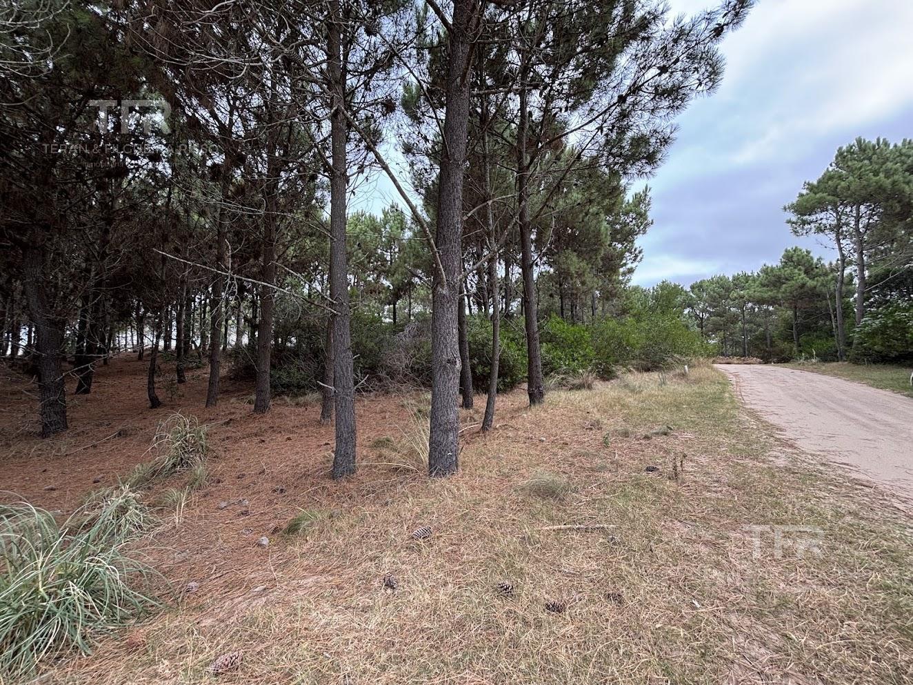 Foto de Terreno en Marítimo III Costa Esmeralda - a metros de la playa, imagen 5