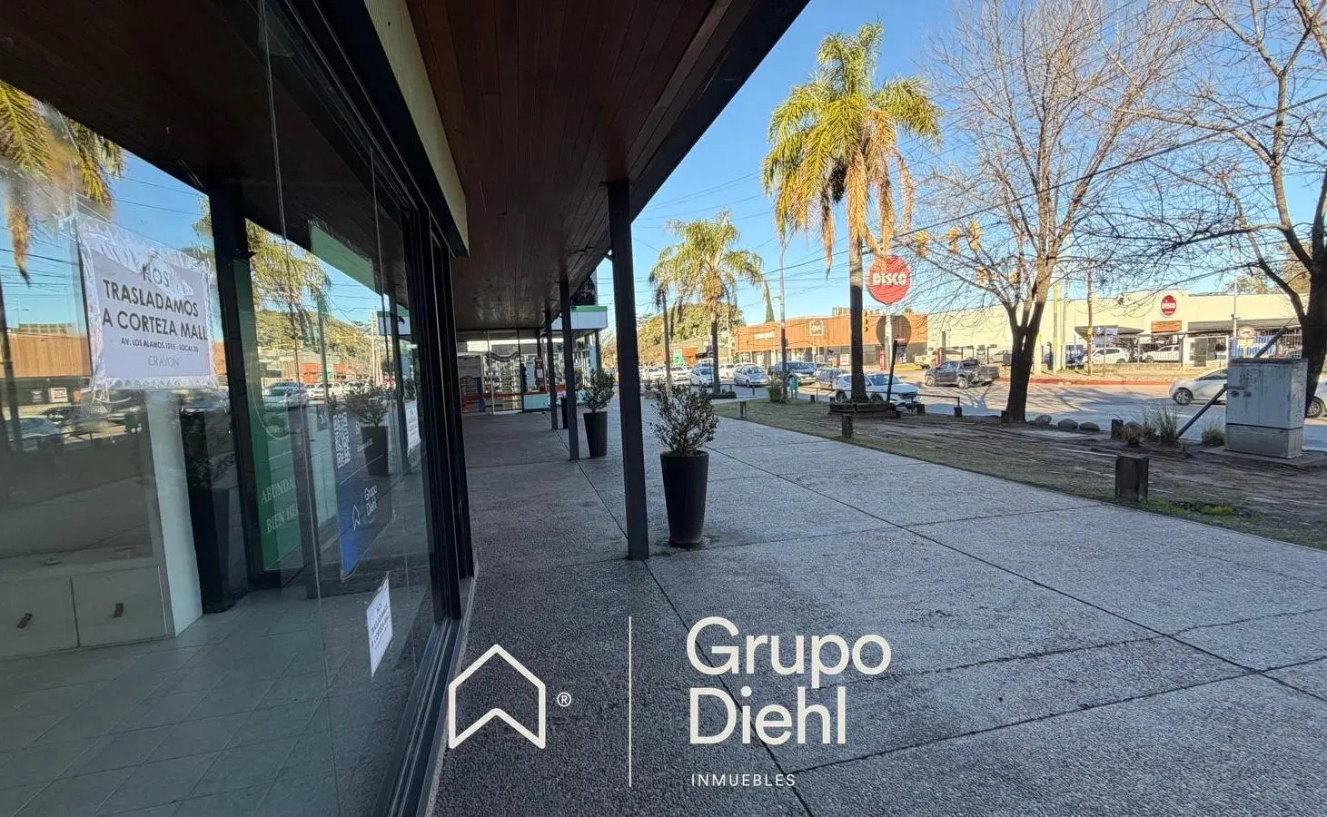 Local Comercial EN ALQUILER paseo de los carolinos - Recta Martinolli 3