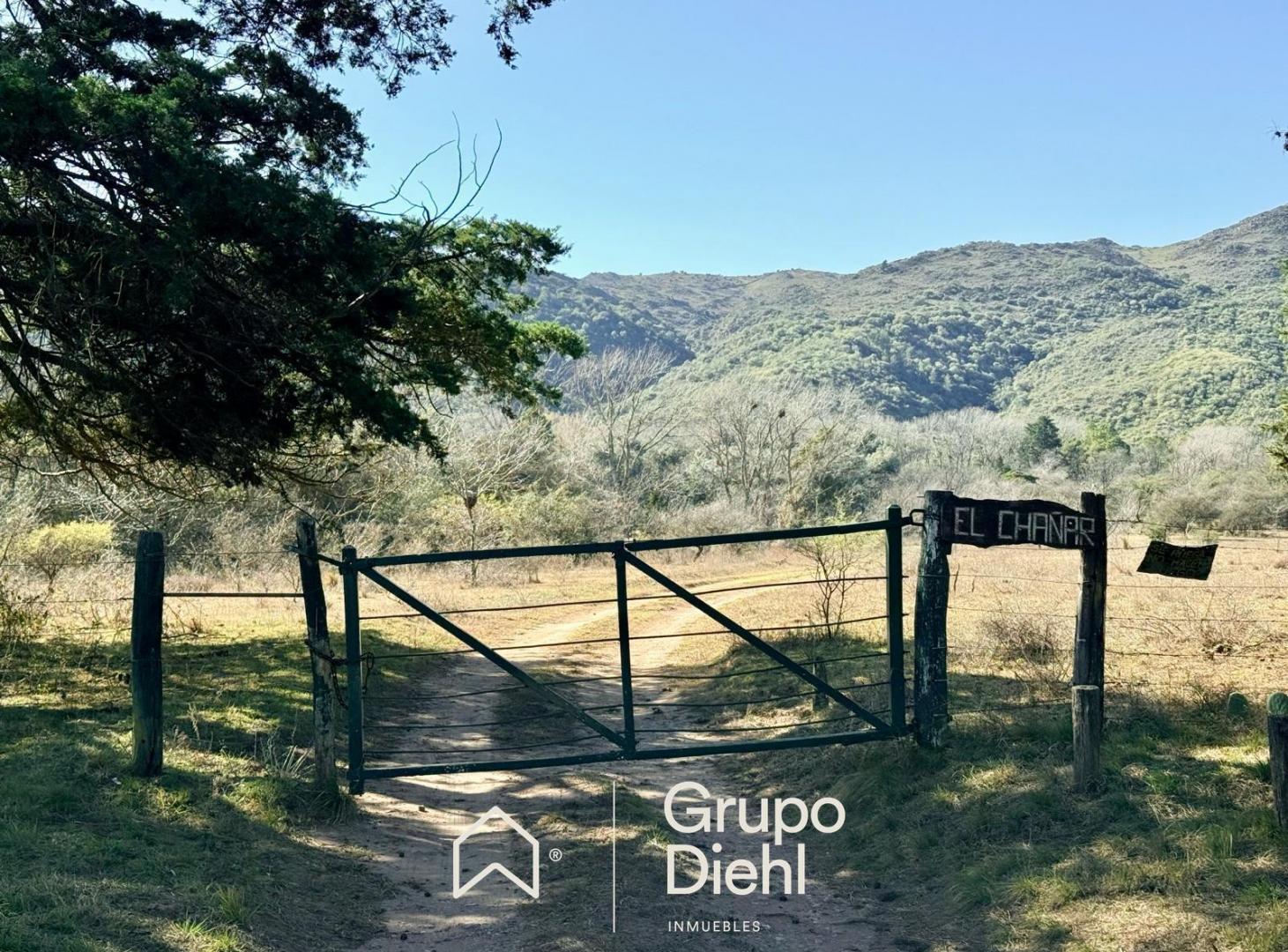 Foto de 56 hectareas - Oportunidad imperdible a metros de Molvento, imagen 4