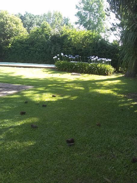 CHALET CON ESPECTACULAR PARQUE FORESTADO