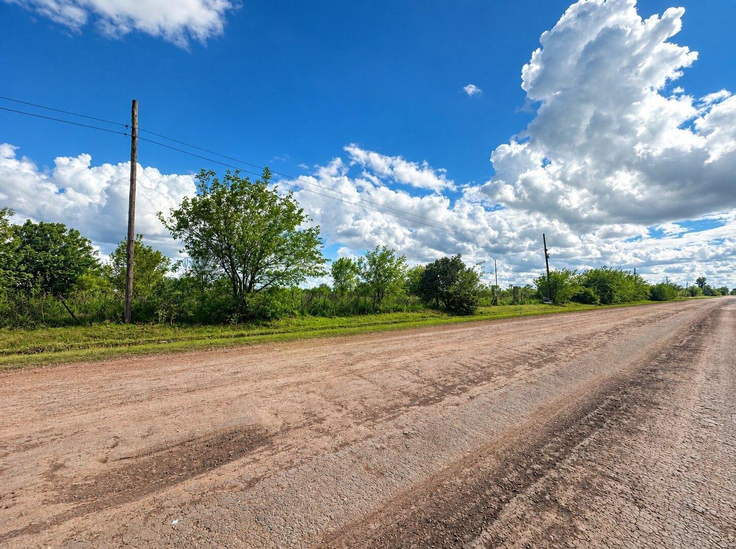 Foto de Lote Ibarlucea, imagen 2
