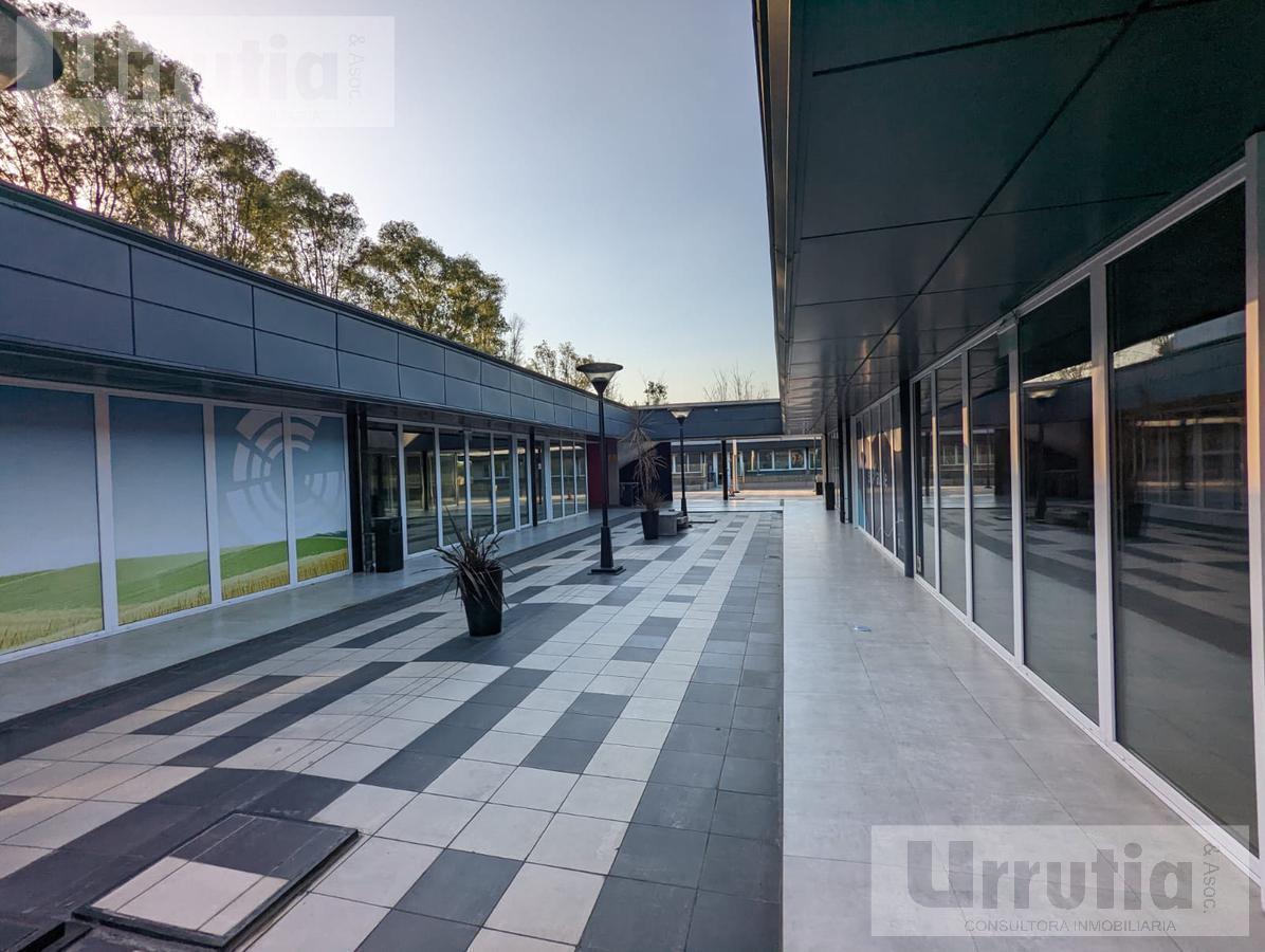 Foto de Oficina - Villa Gobernador Udaondo, imagen 1