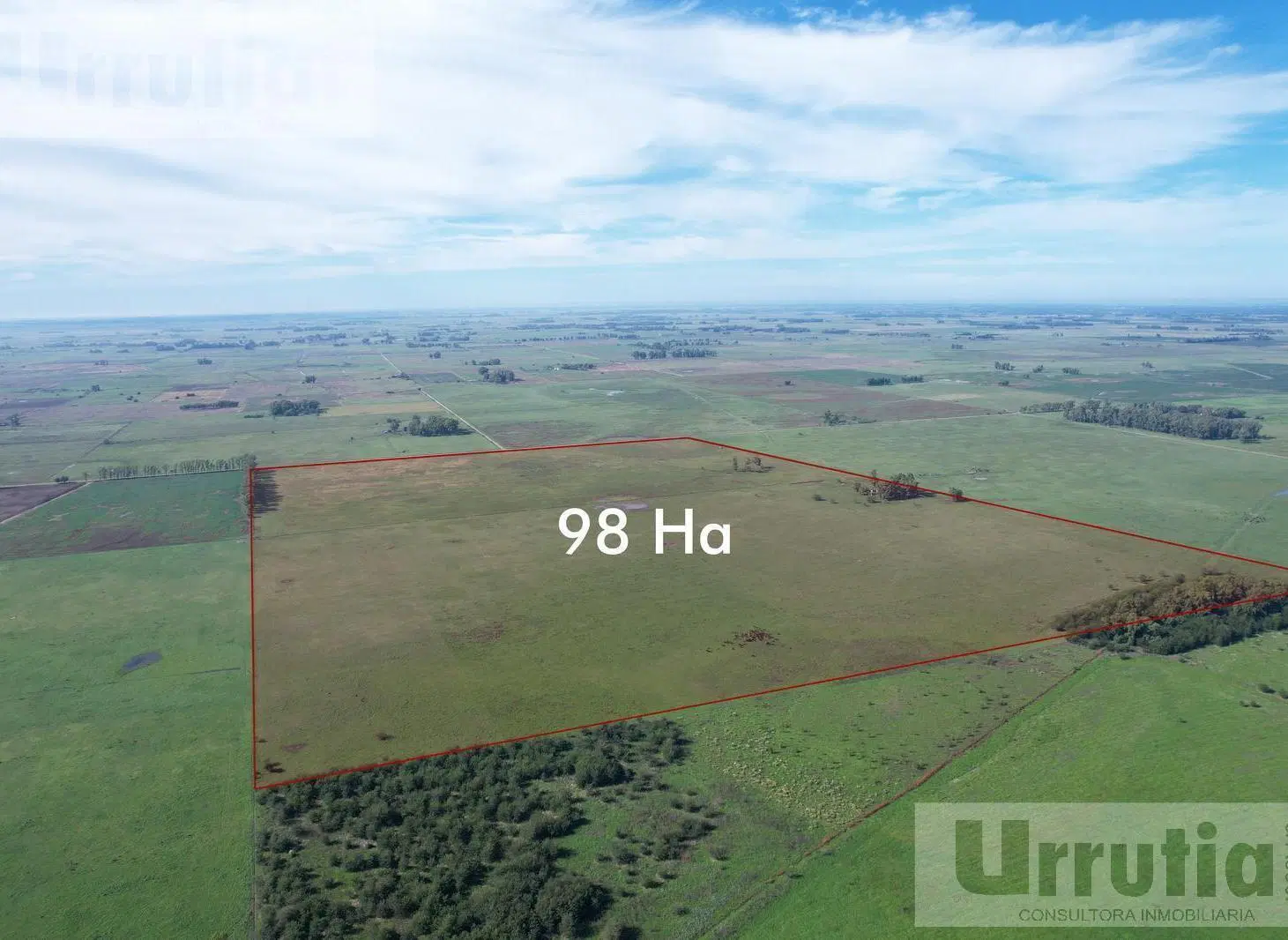 Campo en venta en Lobos 5