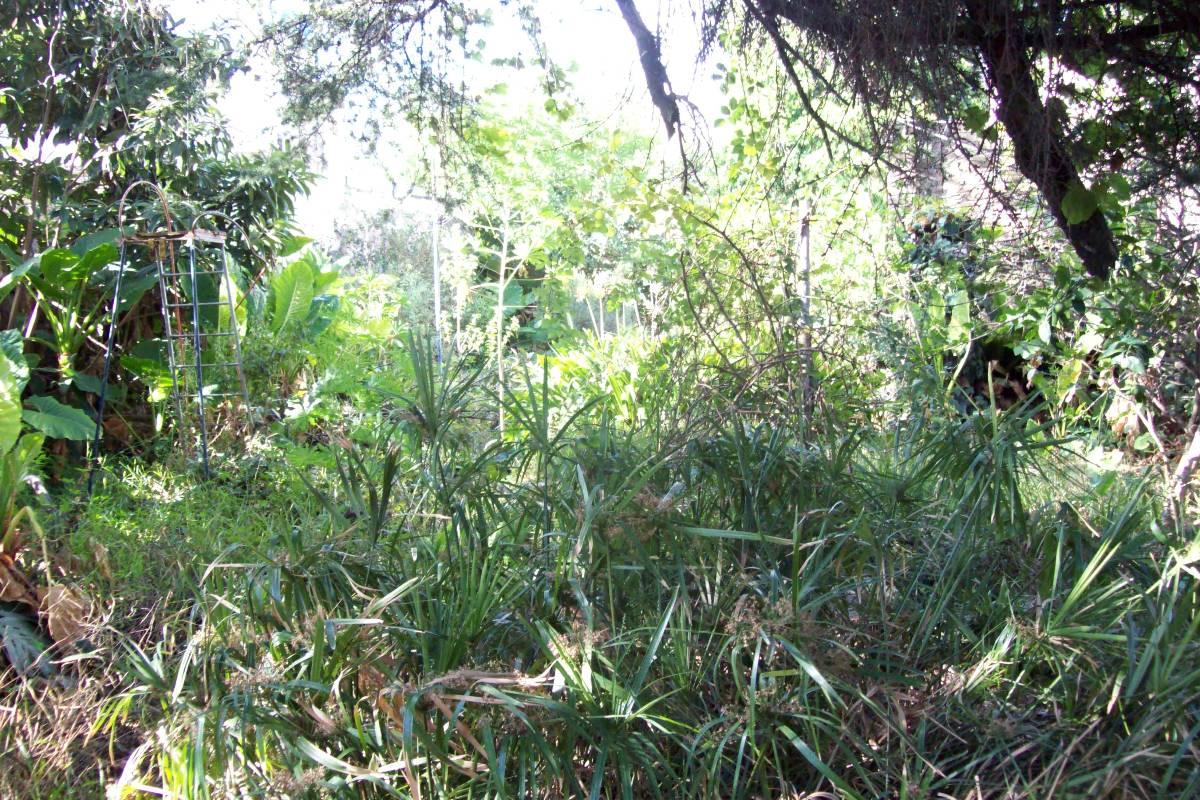Venta- Lote de Terreno - Villa Madero-