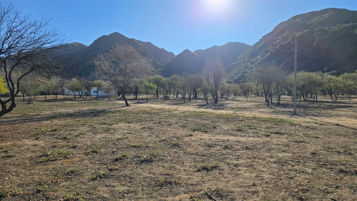 Terreno. Lote. 65000 m². San Luis. Juana Koslay 1