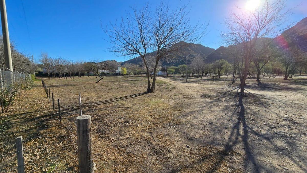 Terreno. Lote. 65000 m². San Luis. Juana Koslay 3
