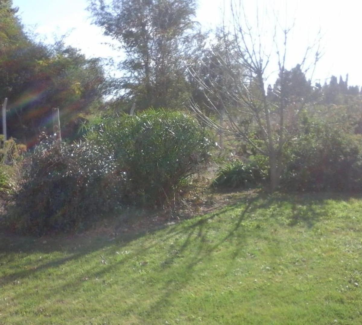 Areco - Terreno 5