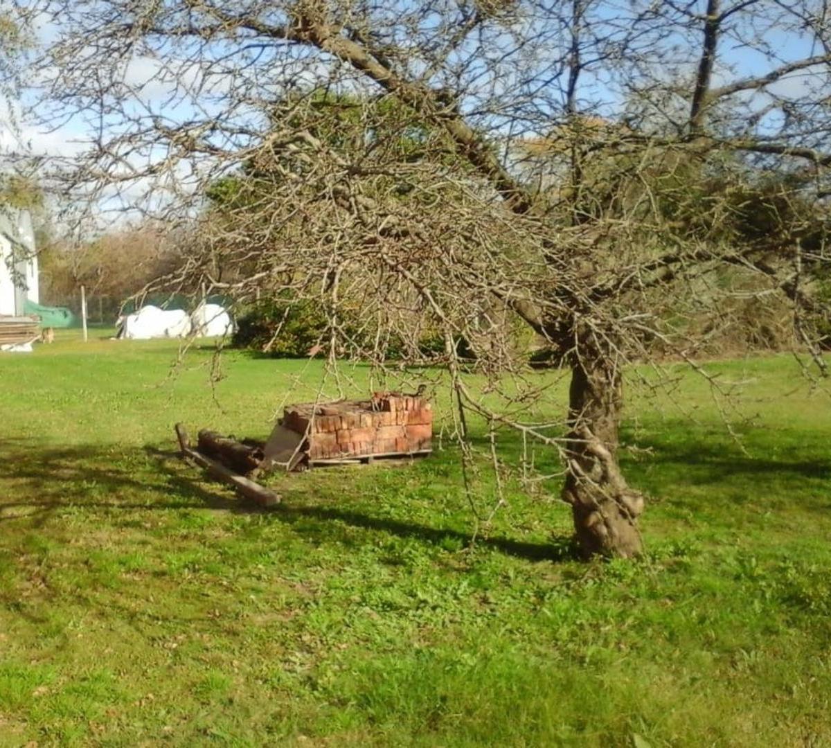 Areco - Terreno 1