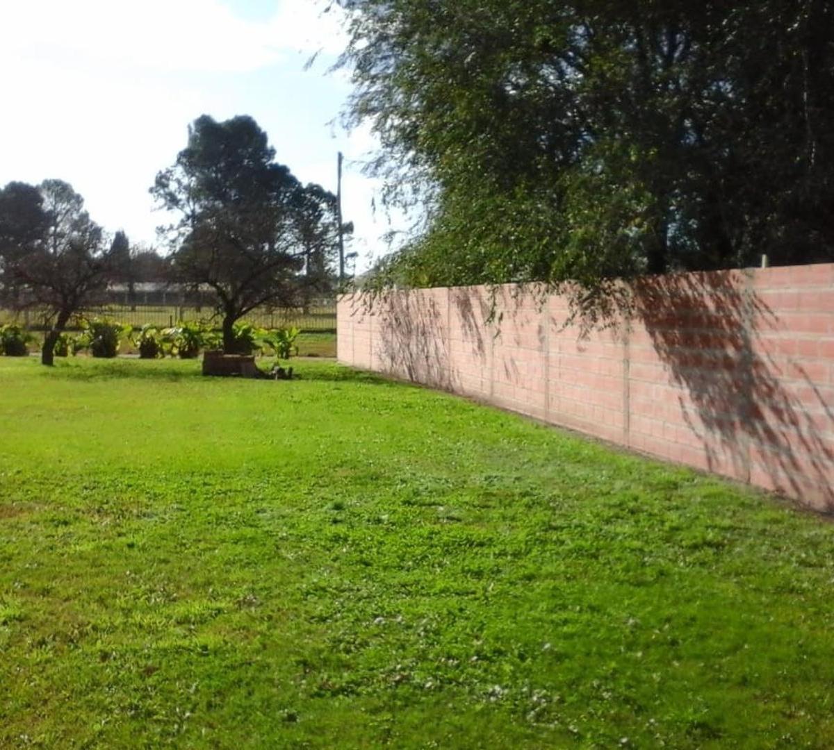 Areco - Terreno 3