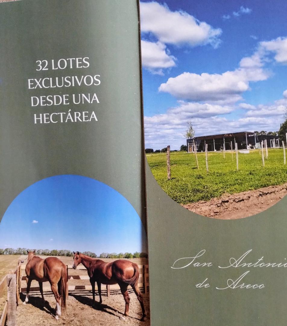 Foto de ARECO - LOTES DE 1 HECTAREA - EL GALO, imagen 2