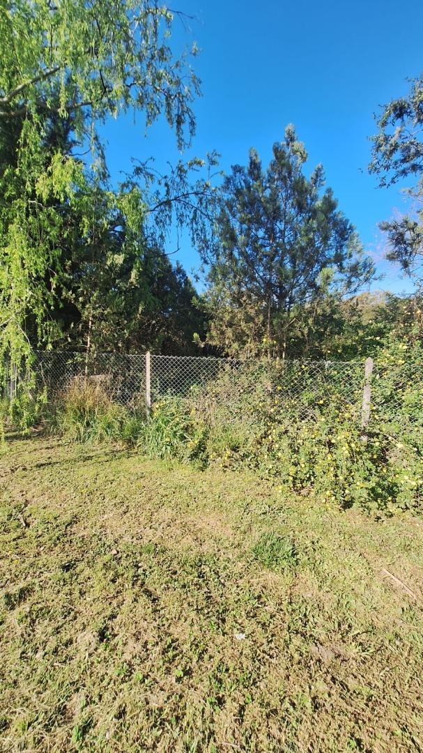 Foto de LOTE EN VENTA | QUINTAS DE DUGGAN, imagen 3