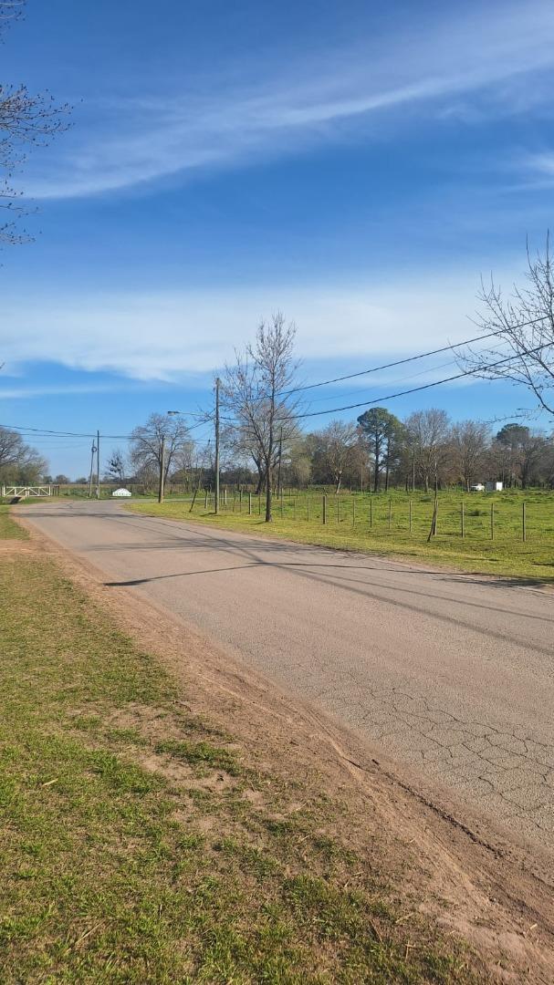 Foto de LOTE EN VENTA | QUINTAS DE DUGGAN, imagen 1