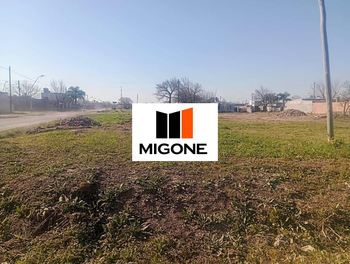 Foto de Lote . | MARTINEZ al 3400, imagen 5