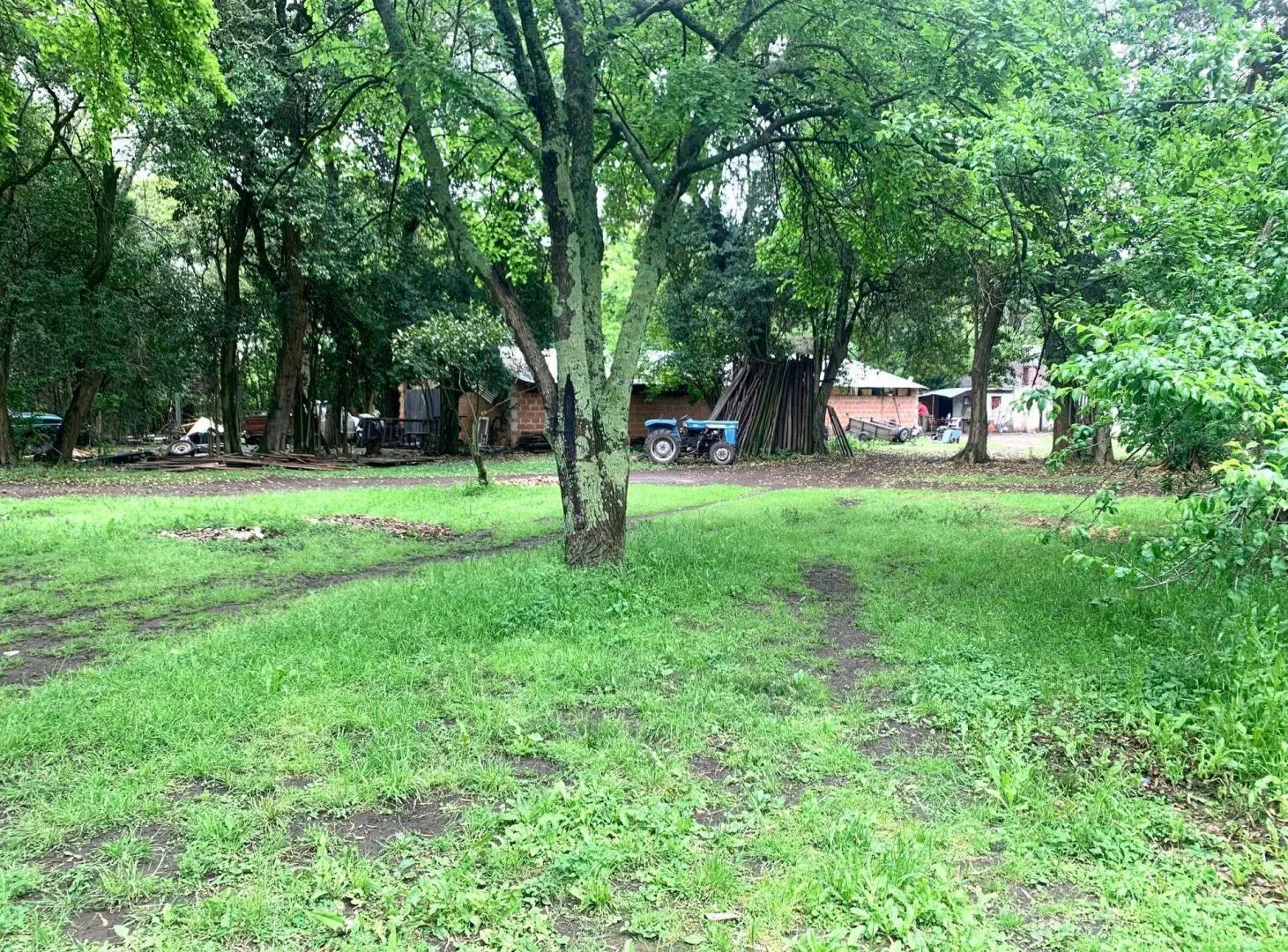 VENTA O PERMUTA- Chacra de 6 hectareas en Mercedes 4