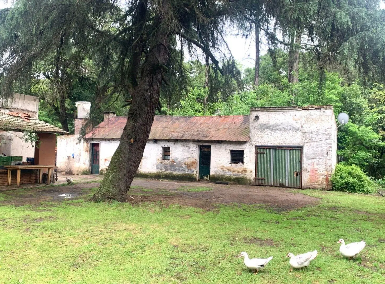 VENTA O PERMUTA- Chacra de 6 hectareas en Mercedes 3