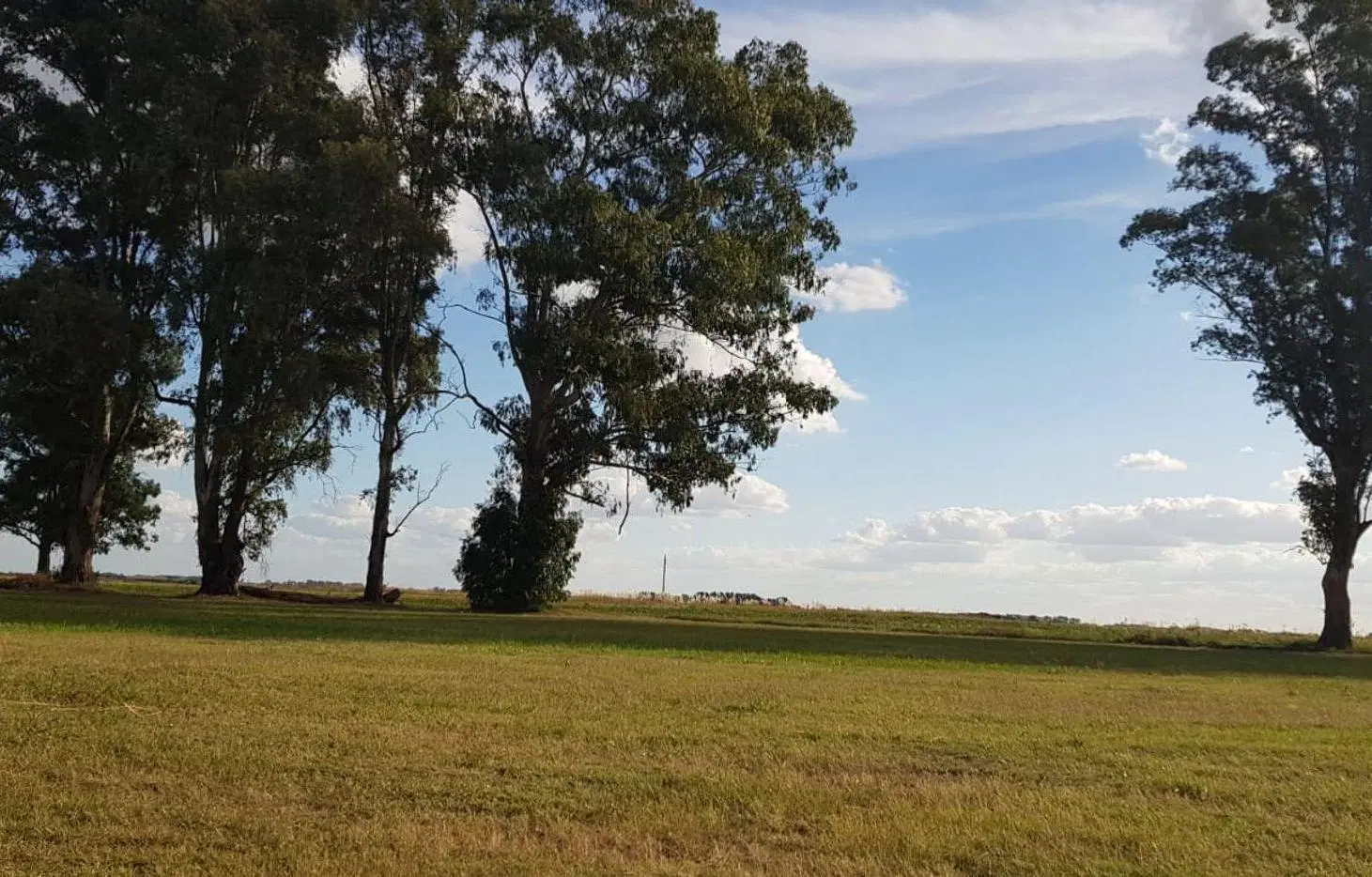 Venta Lote - 1600 m. BARRIO GOLF - TRES PINOS 3