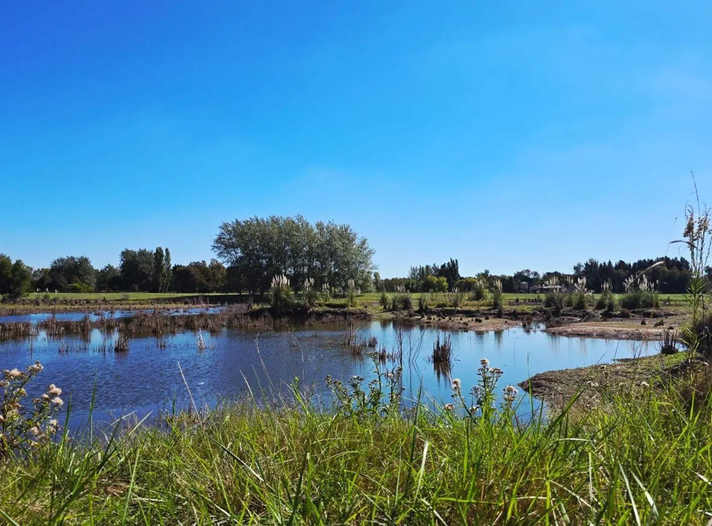 VENTA LOTE TERRENO LUJAN LAS LILAS CHACRA HARAS 2