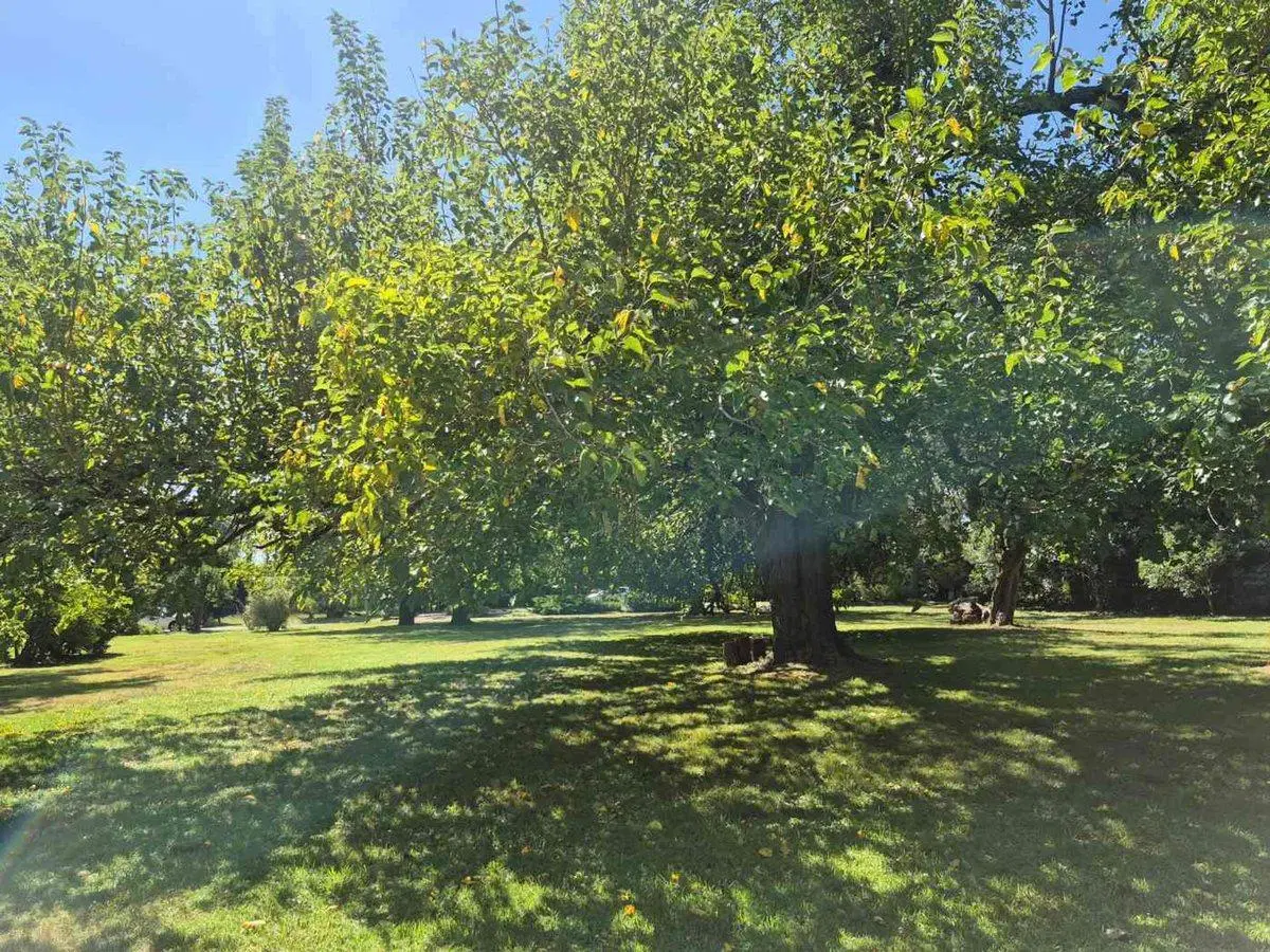 Lote en Club de Campo San Diego (10) 4