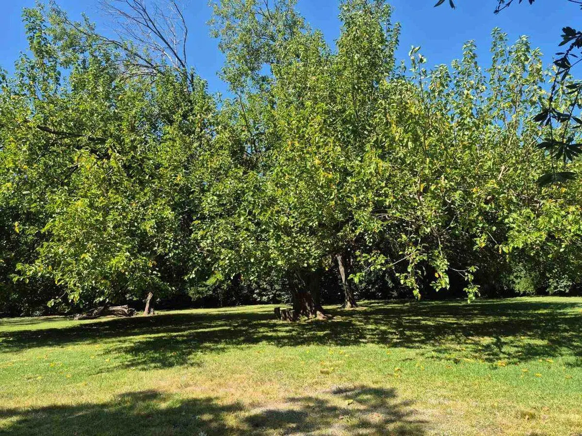 Lote en Club de Campo San Diego (10) 2