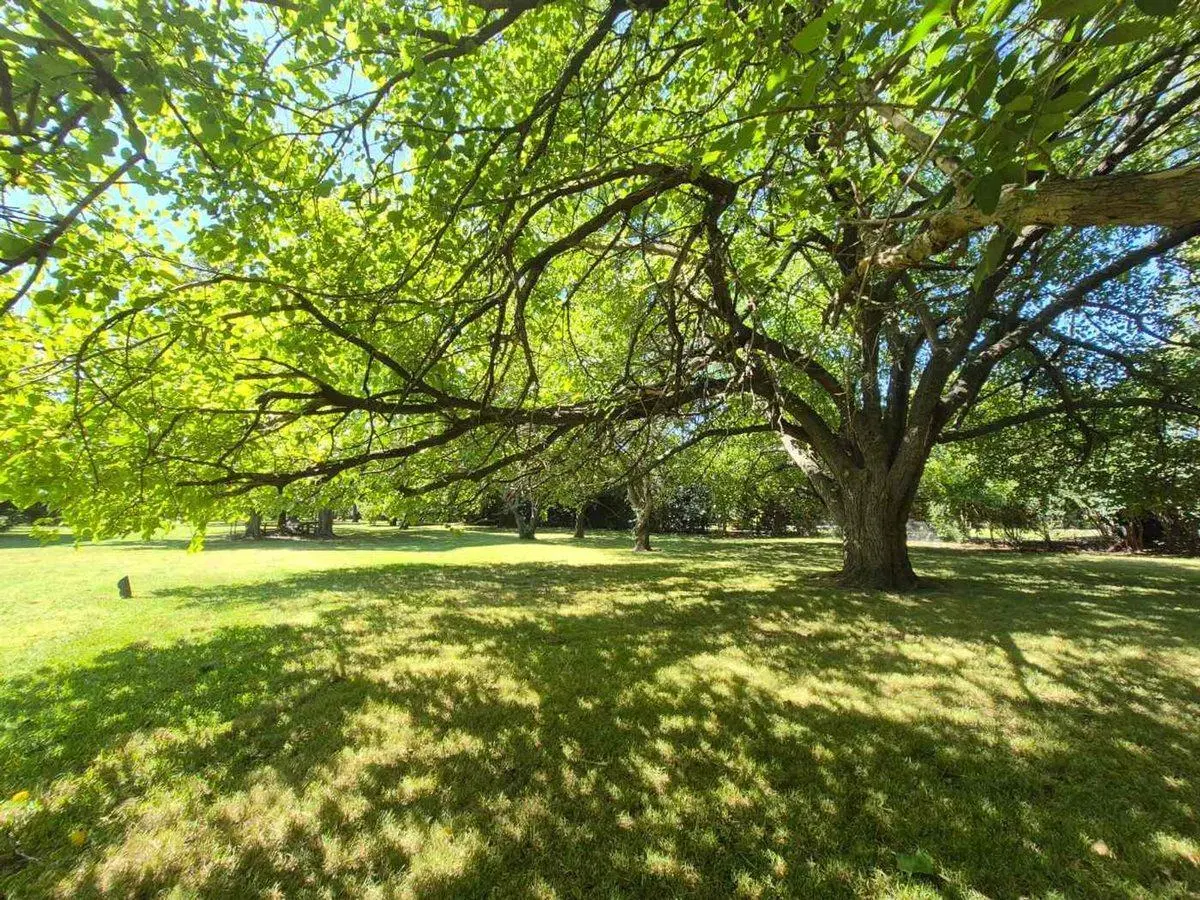 Lote en Club de Campo San Diego (5) 3