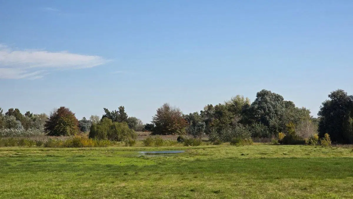 VENTA CAMPO CHACRA 8HAS CASA OPEN DOOR LAGUNA POLO 2