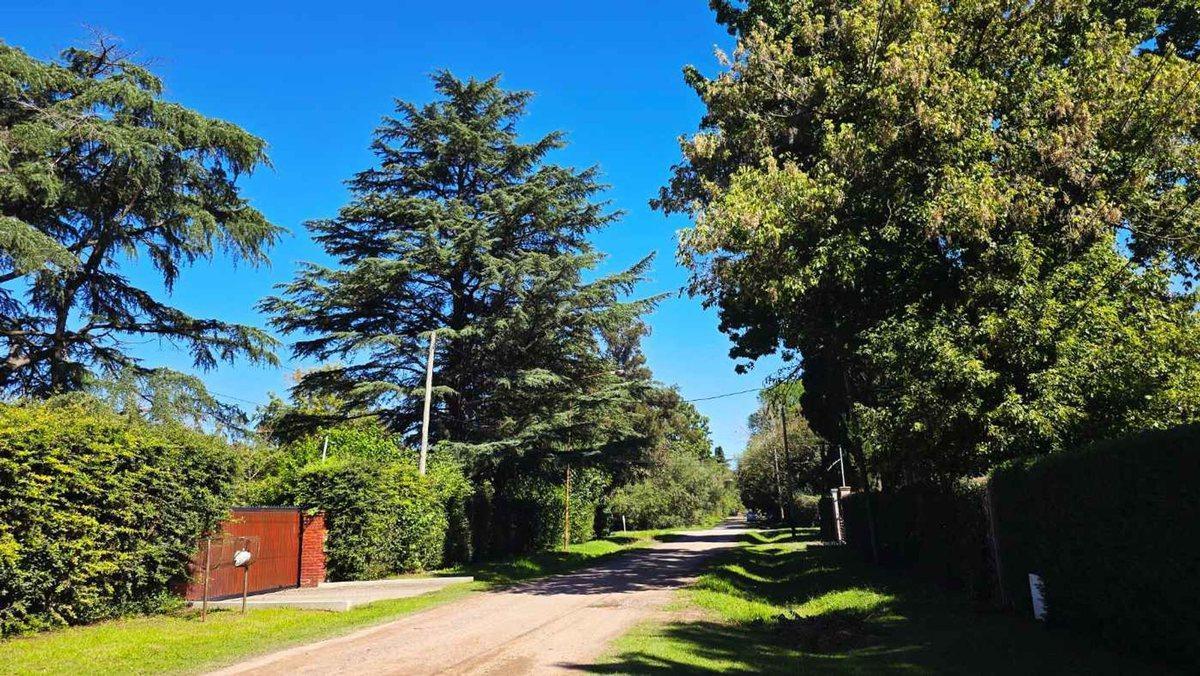 VENTA CASA QUINTA HOSTERIA SUR LUJAN PILETA