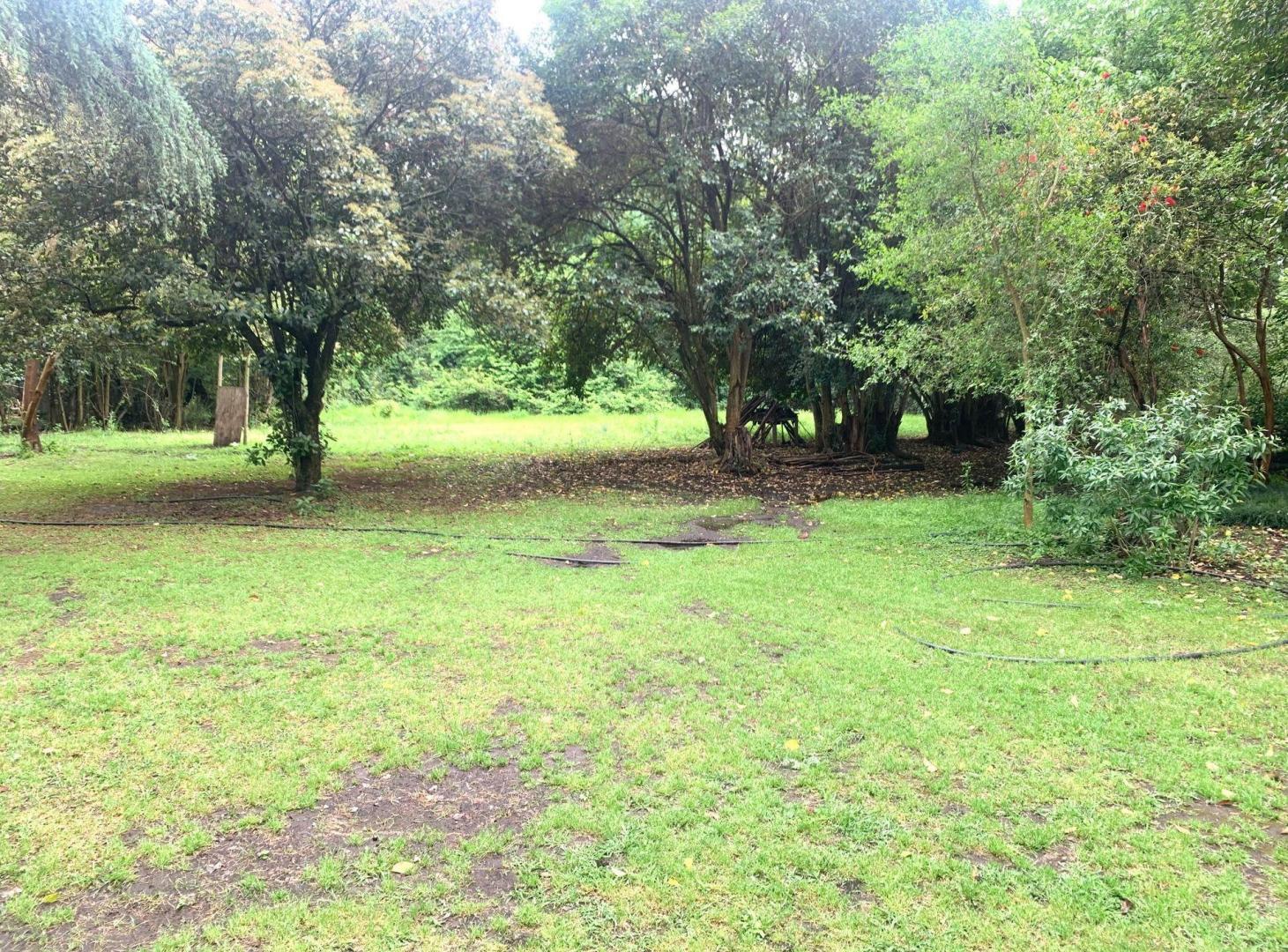 VENTA O PERMUTA- Chacra de 6 hectareas en Mercedes