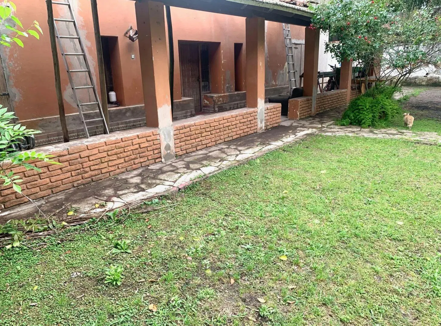 VENTA O PERMUTA- Chacra de 6 hectareas en Mercedes 5