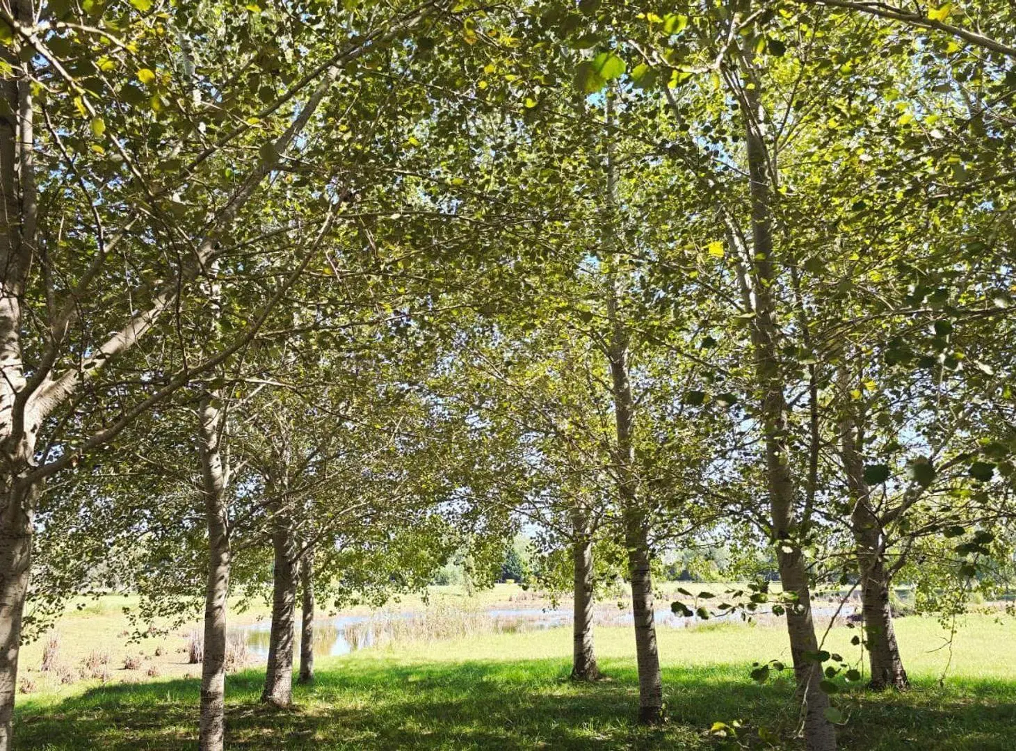 VENTA LOTE TERRENO LUJAN LAS LILAS CHACRA HARAS 4