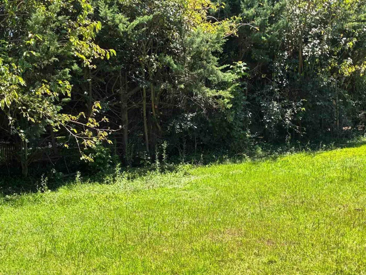 VENTA LOTE CENTRAL Bo. CERRADO LA PEREGRINA PILAR 4