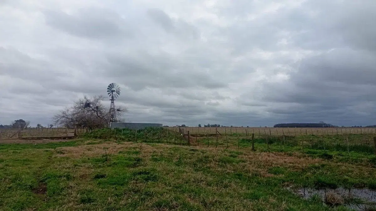 CAMPO MIXTO EN VENTA 143 HAS, RANCHOS, GENERAL PAZ 3