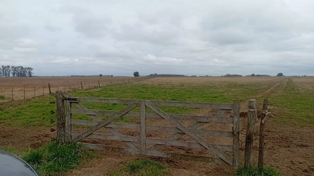 CAMPO MIXTO EN VENTA 143 HAS, RANCHOS, GENERAL PAZ 5