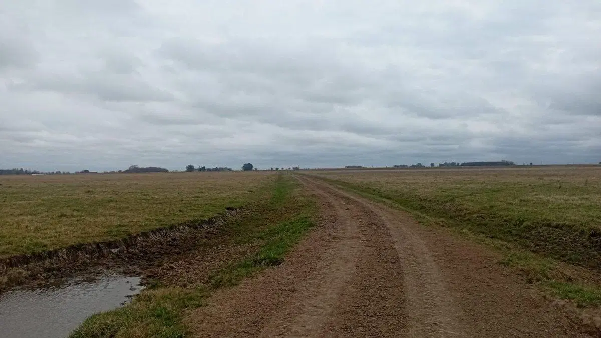 CAMPO MIXTO EN VENTA 143 HAS, RANCHOS, GENERAL PAZ 2
