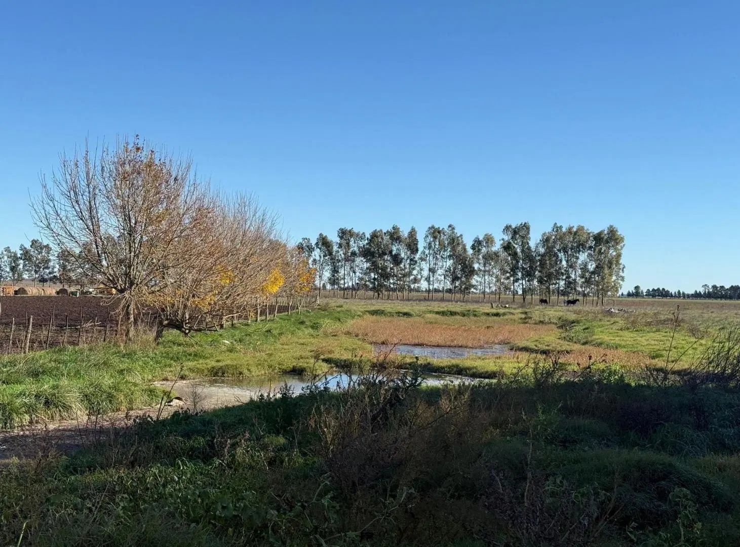CAMPO MIXTO EN VENTA 194 HAS, RANCHOS, GENERAL PAZ 4