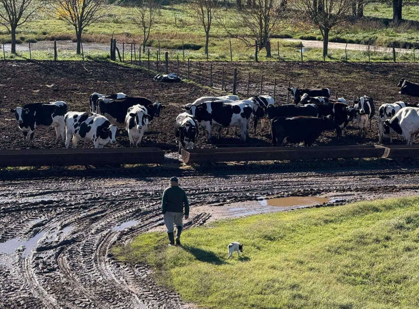 CAMPO MIXTO EN VENTA 334 HAS, RANCHOS, GENERAL PAZ 2