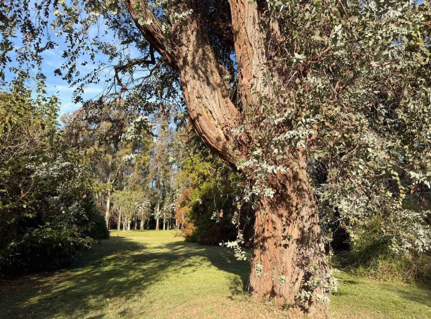 VENTA LOTE LAS PRADERAS DE LUJAN 3