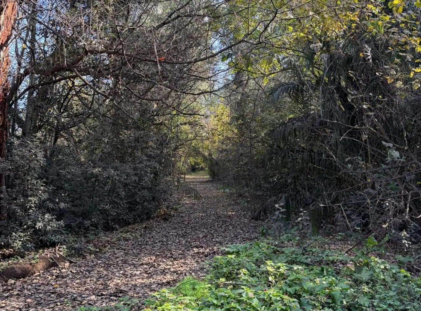 VENTA ESTANCIA "EL RINCÓN", VILLA ELISA 5