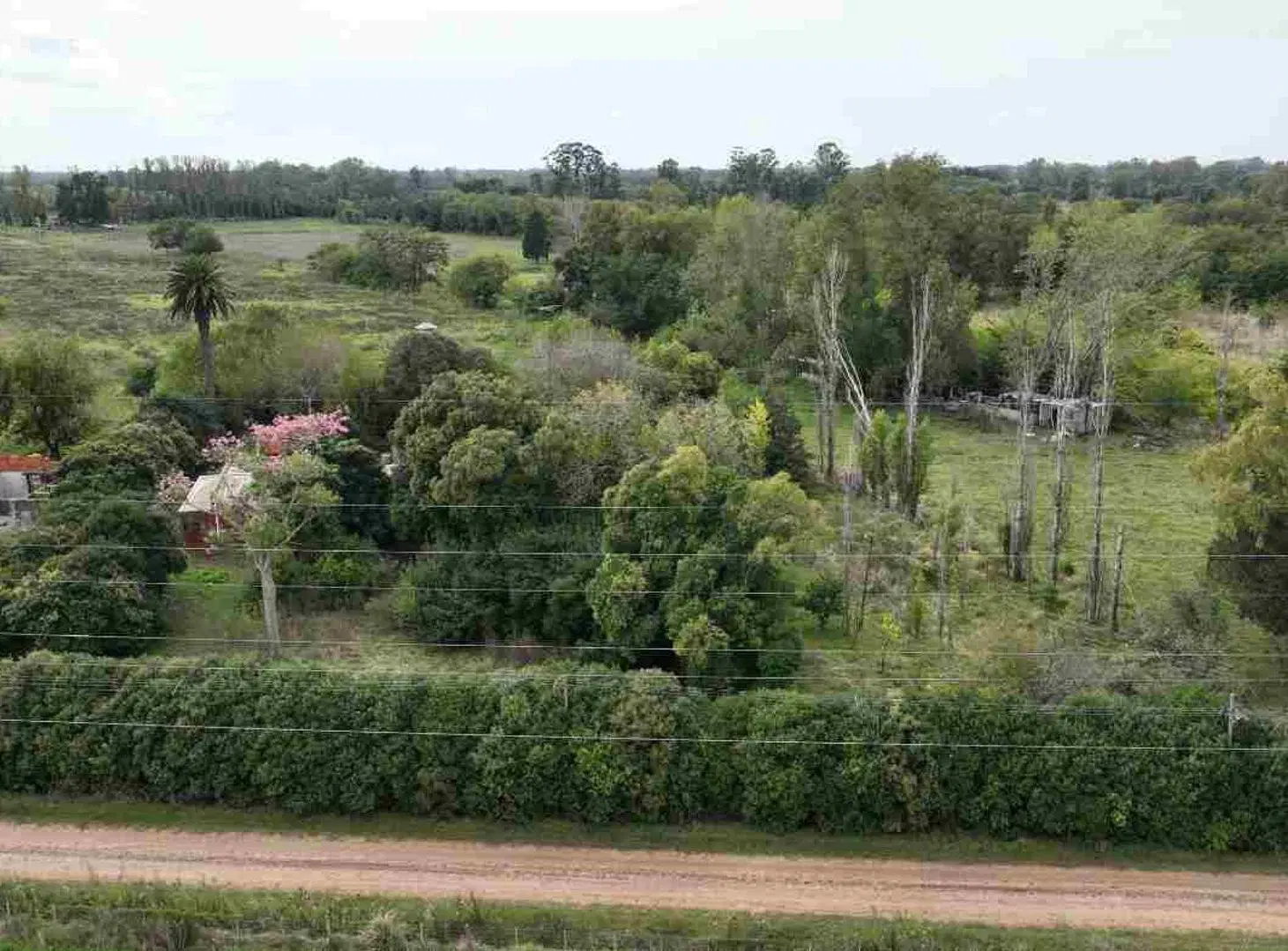Chacra 3,5 ha Mercedes, Bs.As. con Casco y Pileta! 4